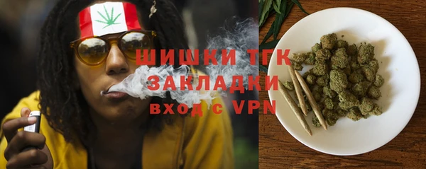 PSILOCYBIN Алзамай