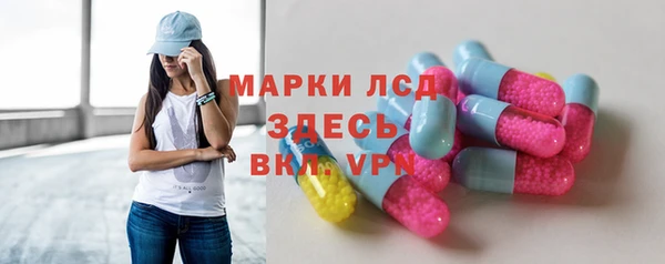PSILOCYBIN Алзамай
