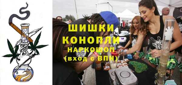 PSILOCYBIN Алзамай
