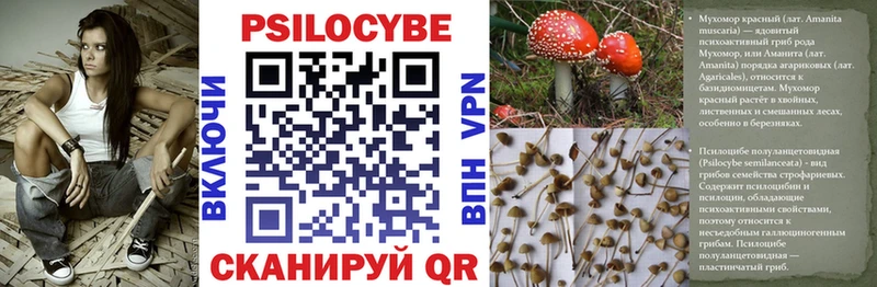 Галлюциногенные грибы MAGIC MUSHROOMS  Тайшет 